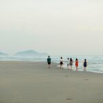 young, sea, nature, friend, outdoors, beach, friends, people